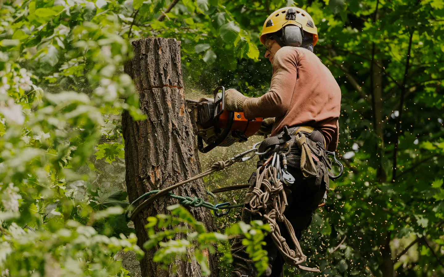 man removing a tree sebewaing mi